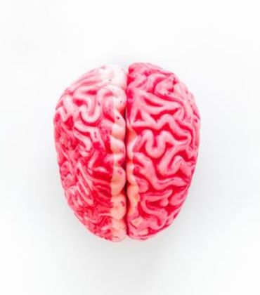 Chia sẻ tư duy là gì? Làm thế nào để giữ tâm trí hàng đầu với những người quan trọng