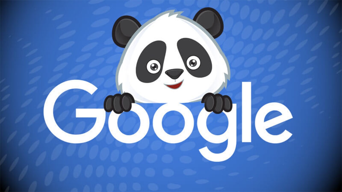 Google Panda – Điều gì xảy ra khi “chú gấu trúc” tỉnh giấc? Cập Nhật Thuật Toán và Cách Khắc Phục