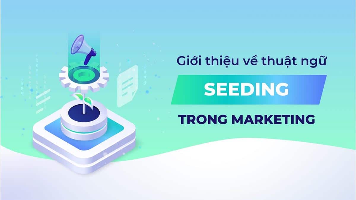 Seeding là gì? Lợi ích của Seeding đối với doanh nghiệp